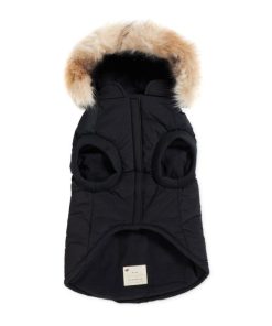 Cartoria.shop035dfe0aa4 5