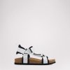 Cartoria.shop05fbd2a84d 1