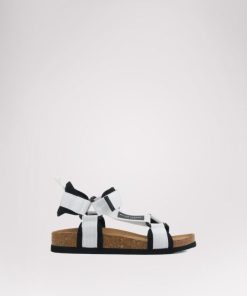 Cartoria.shop05fbd2a84d 1