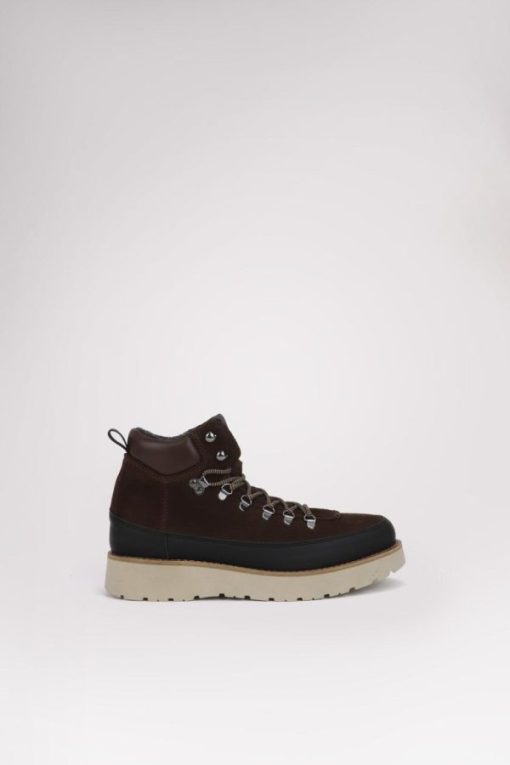 Cartoria.shop08de433b94 1