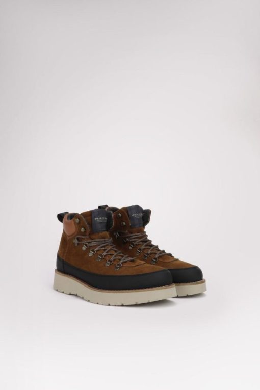 Cartoria.shop08de433b94 13