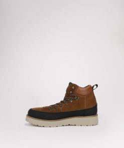 Cartoria.shop08de433b94 14