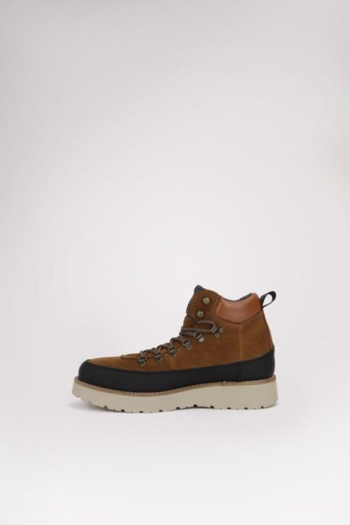 Cartoria.shop08de433b94 14