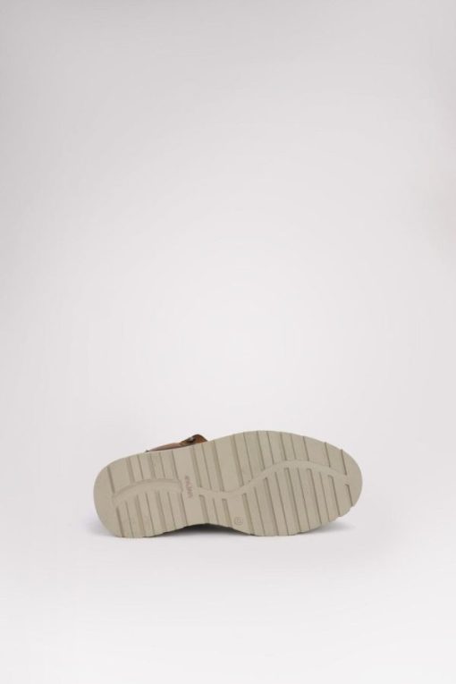 Cartoria.shop08de433b94 15