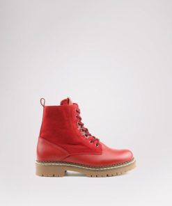 Cartoria.shop0f17f4e4f2 1