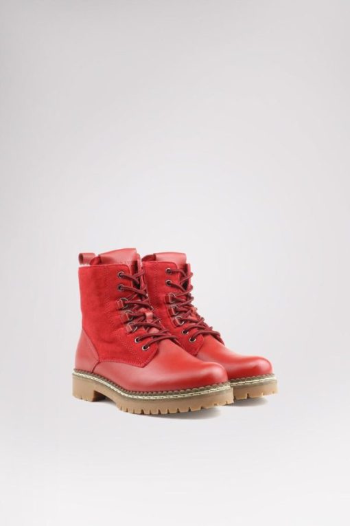 Cartoria.shop0f17f4e4f2 2