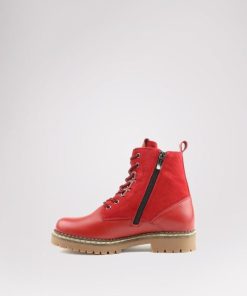 Cartoria.shop0f17f4e4f2 3