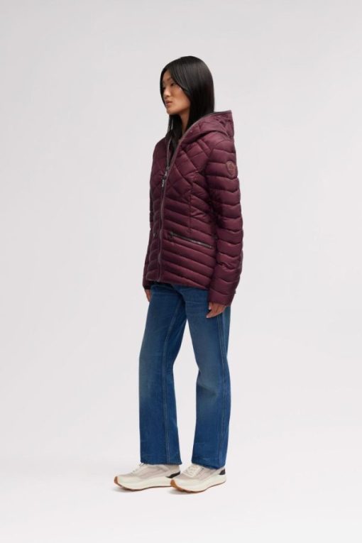 Cartoria.shop154ac5d952 11
