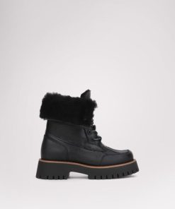 Cartoria.shop1b33bc081a 1