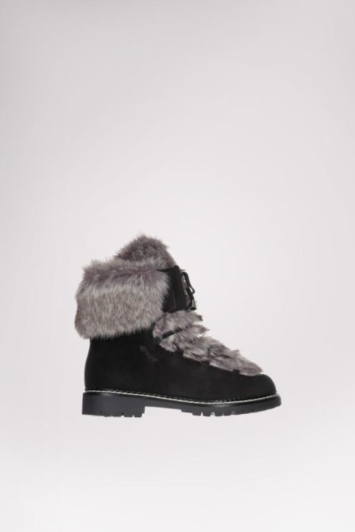 Cartoria.shop1def3a3d0f 1