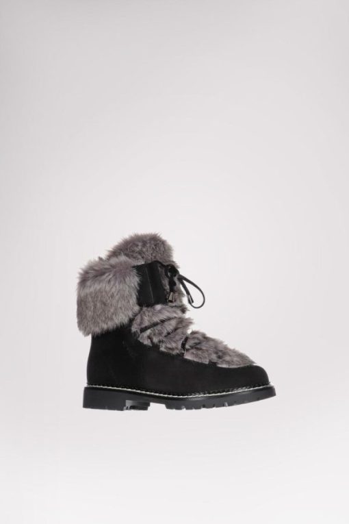 Cartoria.shop1def3a3d0f 4