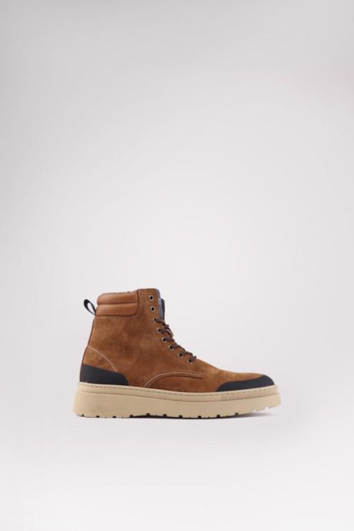 Cartoria.shop26be2e4d82 1