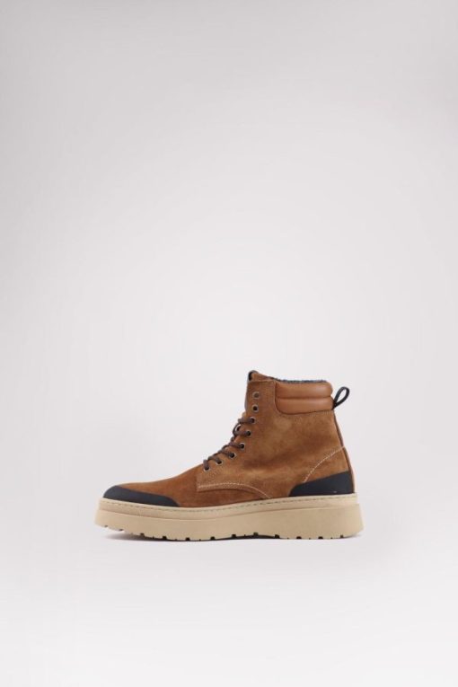 Cartoria.shop26be2e4d82 3