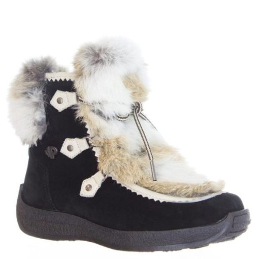 Cartoria.shop3384eba47d 6