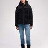 Cartoria.shop37451ed223 1