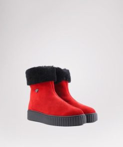 Cartoria.shop3a24e37710 2