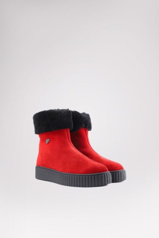 Cartoria.shop3a24e37710 2