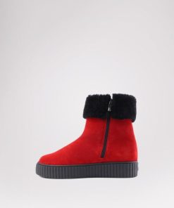 Cartoria.shop3a24e37710 3