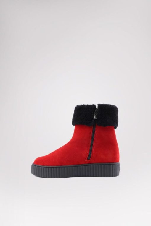 Cartoria.shop3a24e37710 3