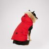 Cartoria.shop3d60c6d0d0 1