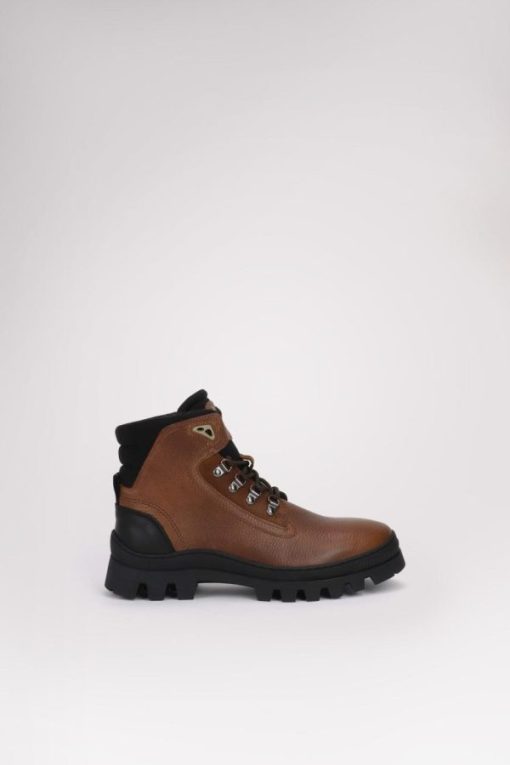 Cartoria.shop41c3b443b3 7