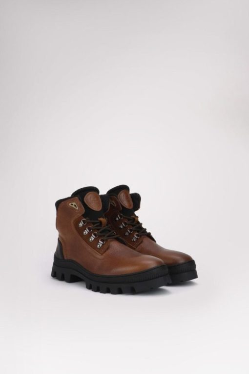 Cartoria.shop41c3b443b3 8