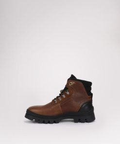 Cartoria.shop41c3b443b3 9