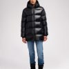 Cartoria.shop41df8b23c8 1
