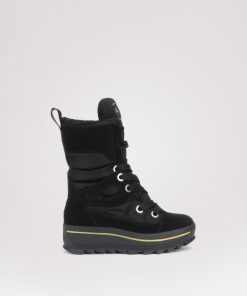 Cartoria.shop48d023f088 1