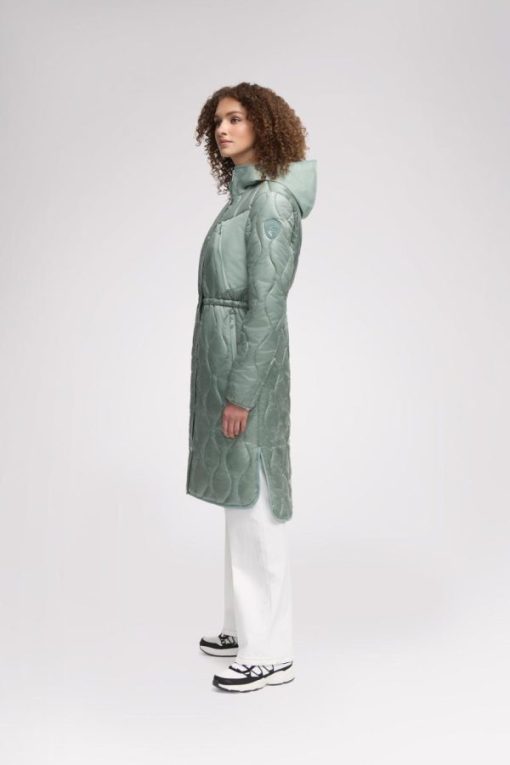 Cartoria.shop554bedb62c 12