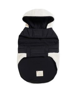 Cartoria.shop59cb76ad56 5