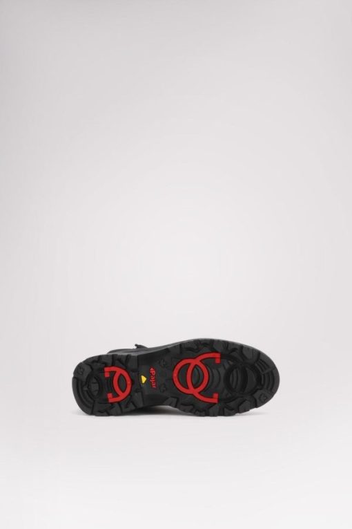 Cartoria.shop59fcbfdf1e 5