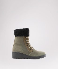 Cartoria.shop6706095c96 1