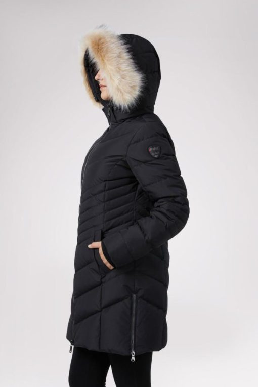 Cartoria.shop6bd9cbb8e5 12