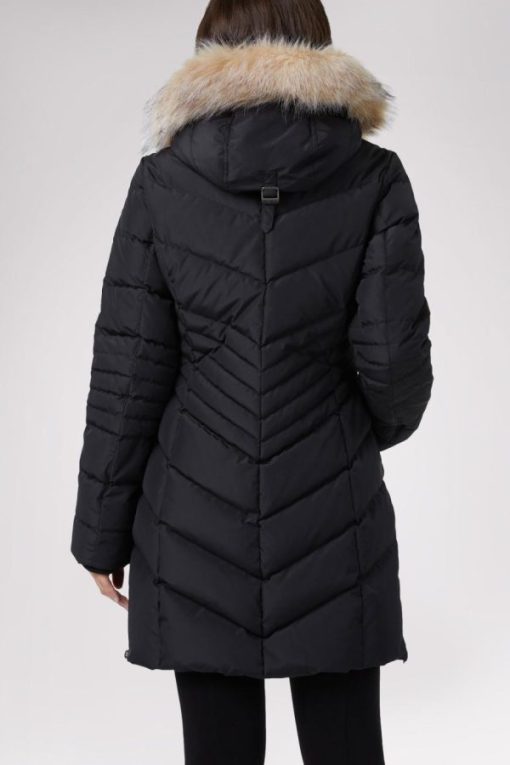 Cartoria.shop6bd9cbb8e5 14