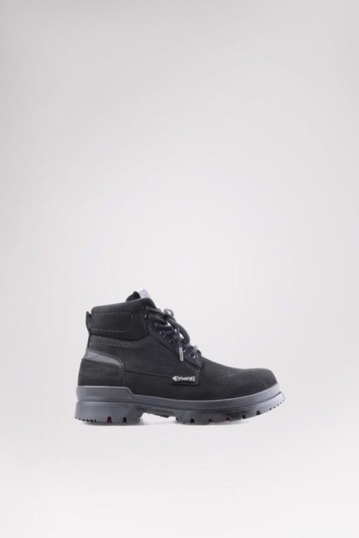 Cartoria.shop7a349898f1 1