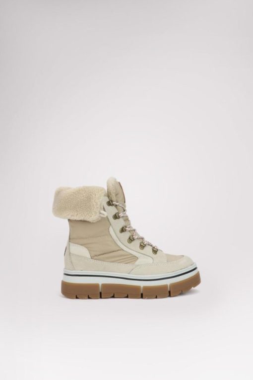 Cartoria.shop7ae967e097 7