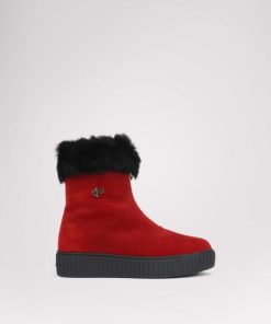 Cartoria.shop85f50d6e55 1