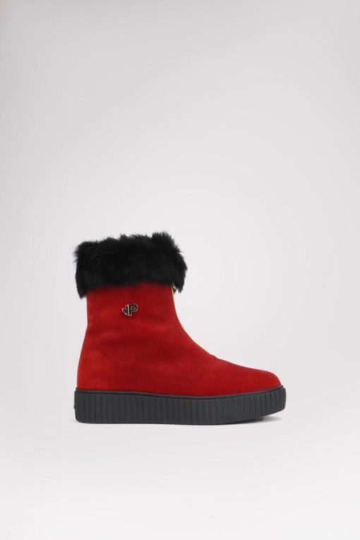 Cartoria.shop85f50d6e55 1