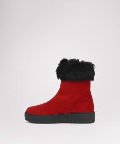 Cartoria.shop85f50d6e55 7