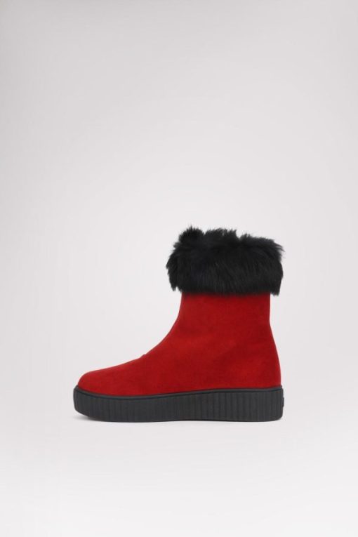 Cartoria.shop85f50d6e55 7