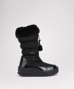 Cartoria.shop89a6788b06 1