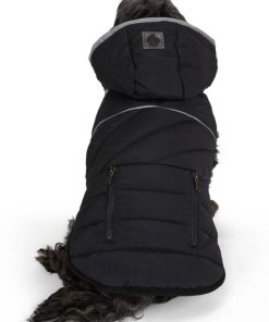 Cartoria.shop8f0385c1f7 2