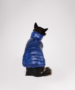 Cartoria.shop924b58adf1 1