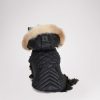 Cartoria.shop9afb006a70 1