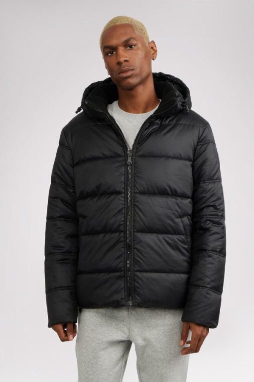 Cartoria.shopa1885c6721 2