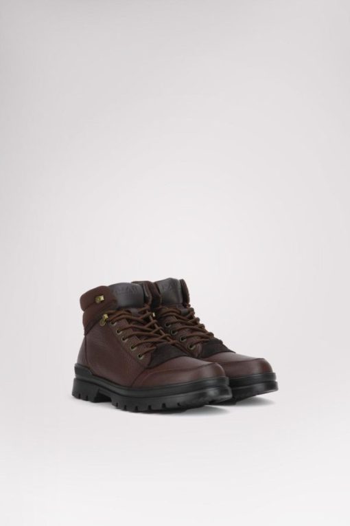 Cartoria.shopa8aa88ca17 8