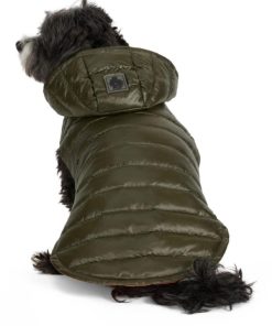 Cartoria.shopc06f9097e0 2