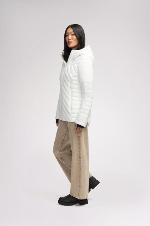 Cartoria.shopca3053b31d 13
