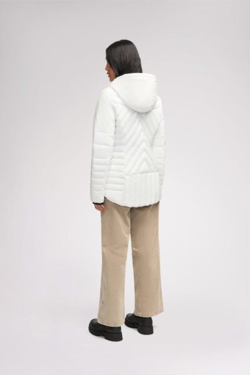 Cartoria.shopca3053b31d 14